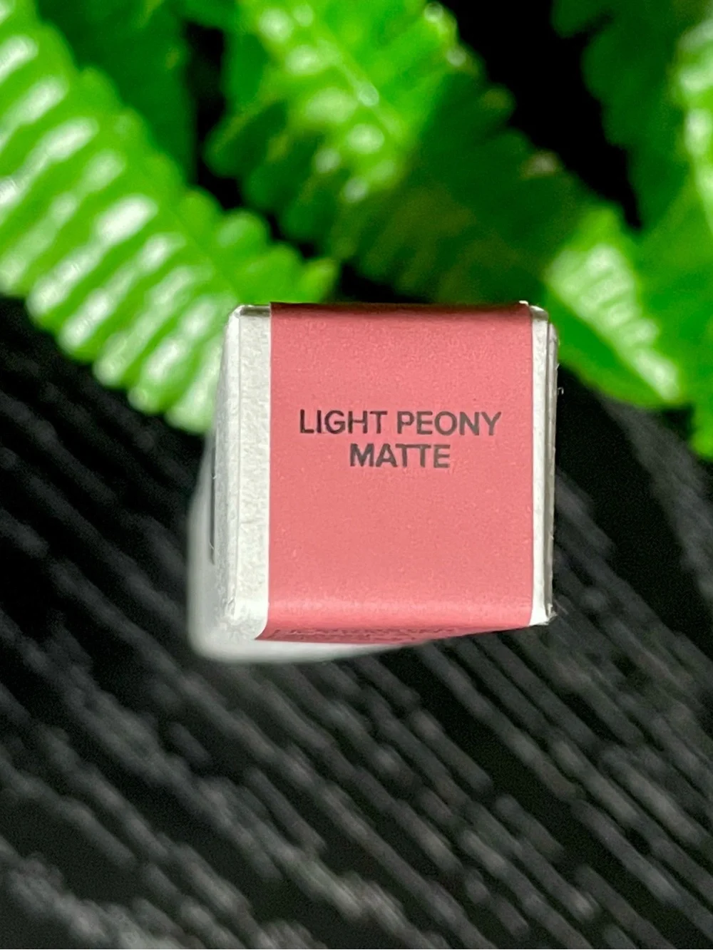 Haus Labs By Lady Gaga Lip Crayon — Light Peony Matte
